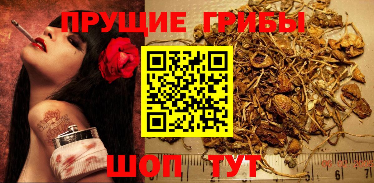 Псилоцибиновые грибы ЛСД Дивногорск